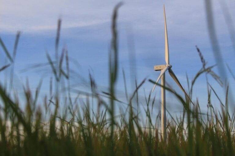 cloud solutions for growth